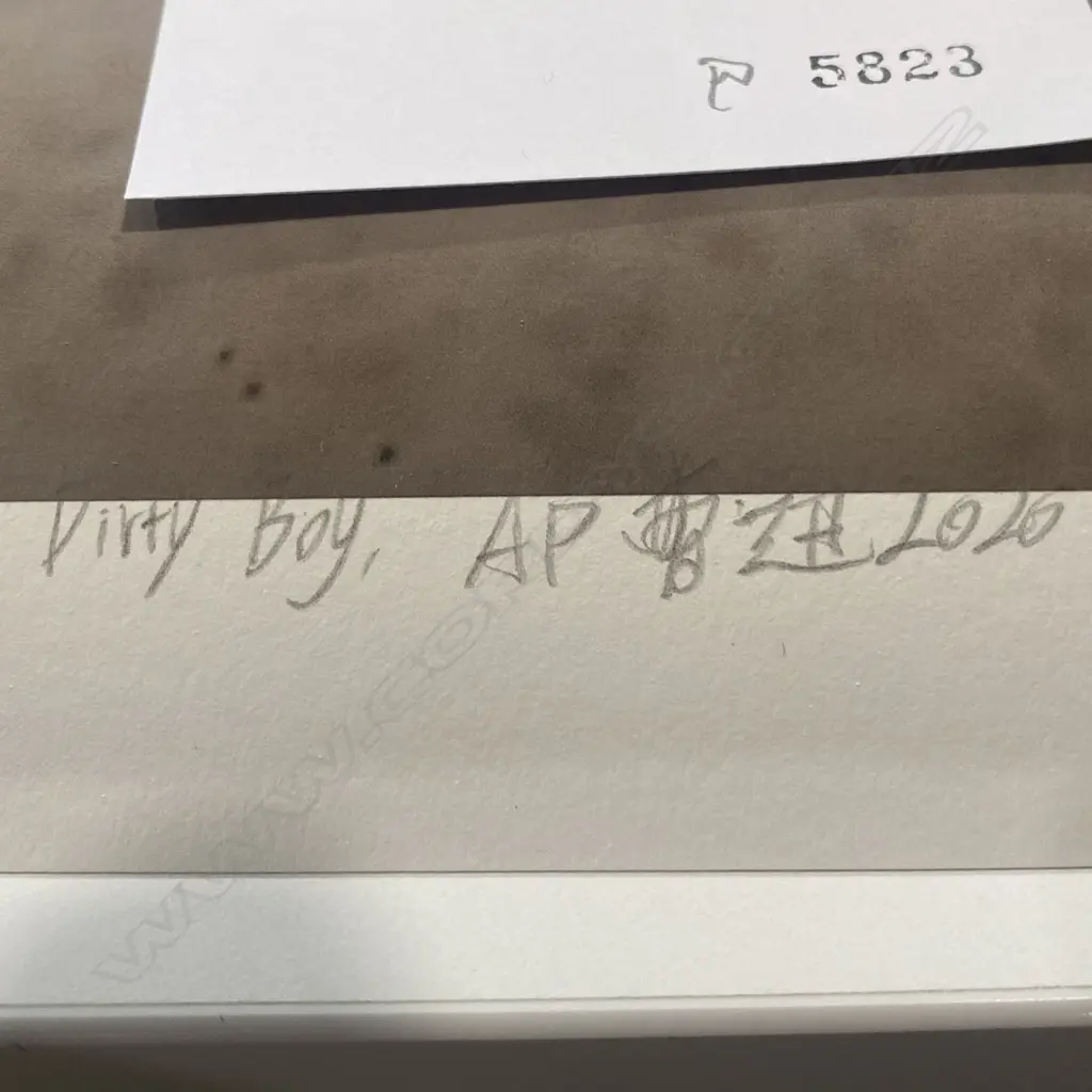 Cao Xun (c. 1993-) 'Dirty boy AP', Image 1++